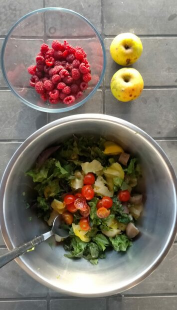 Un repas presque à 100% issu du jardin 😋