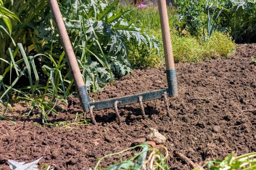 Paillage ou pas paillage ? Travail du sol ou pas travail du sol ?
