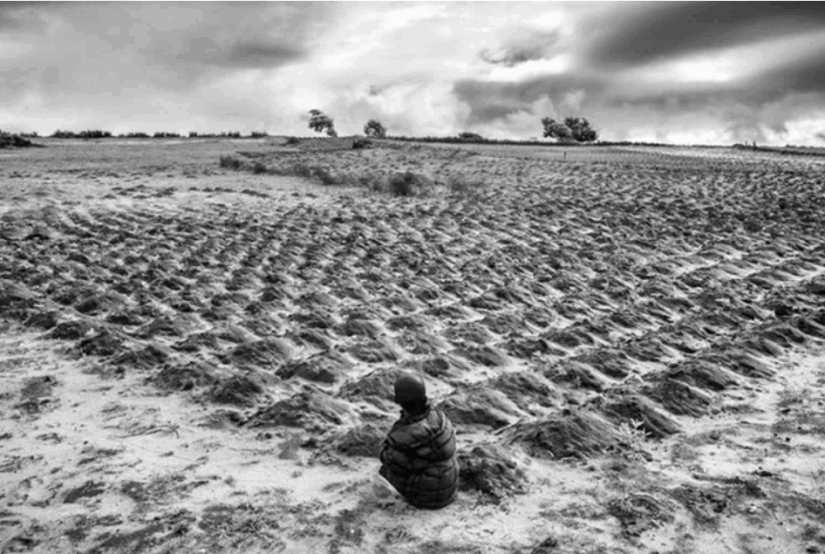 L’agriculture sous la pression de l’effondrement écologique: tic, tac, tic, tac, tic, tac……