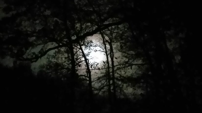 Soirs de pleine lune
