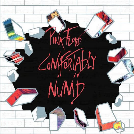 Pink Floyd – « Comfortably numb »