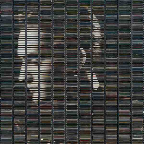 Stephan Eicher – « Je plains celui »