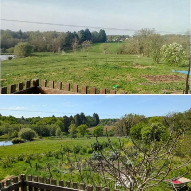 2019-2026, avant/après: la transformation du paysage depuis la terrasse