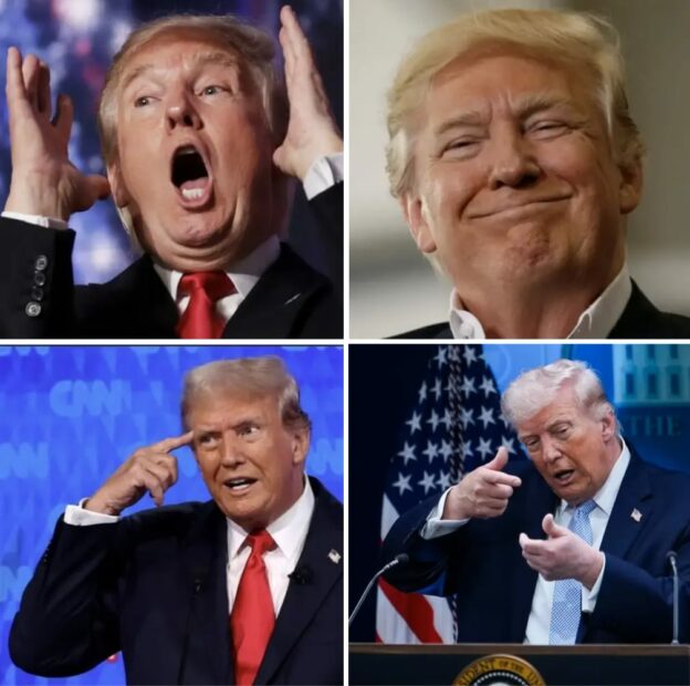 L&rsquo;idiot du village qui mettait le monde entier à feu et à sang