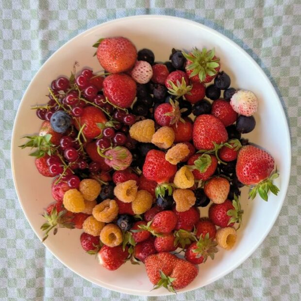Petits fruits frais pour le petit déjeuner