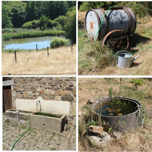 Paillage et arrosage en période de sécheresse…